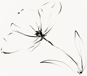 A beautiful flower